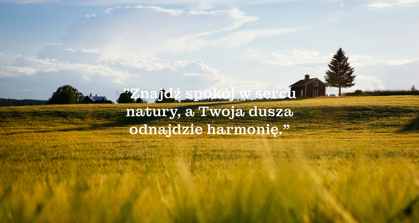 Pierwszy wpis!
